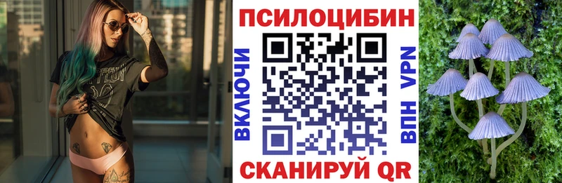 где купить наркотик  Избербаш  Галлюциногенные грибы мухоморы 