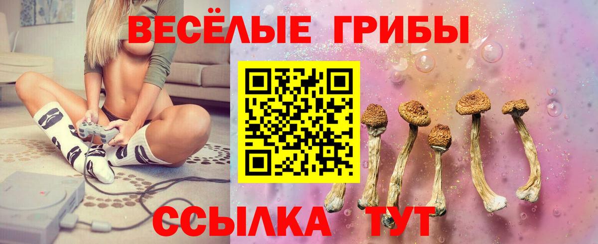 Псилоцибиновые грибы прущие грибы  Вход с VPN  Избербаш 