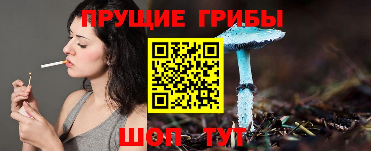 Псилоцибиновые грибы MAGIC MUSHROOMS Избербаш